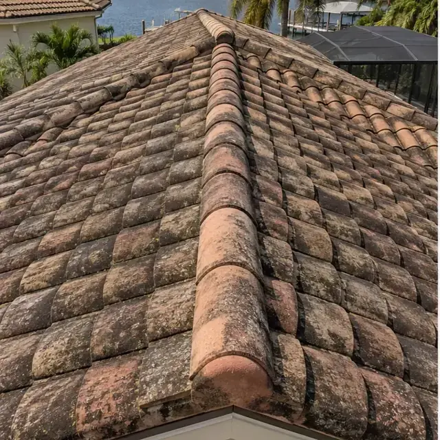 Before cleaning: before and after photos of tile roofs
