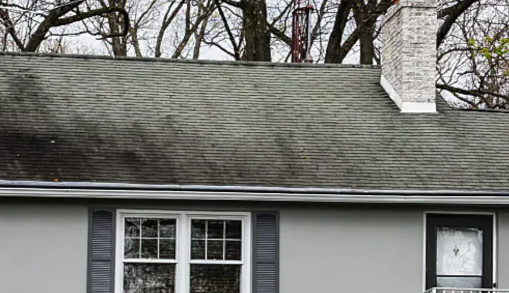 Gloeocapsa magma algae causing black streaks on roof shingles