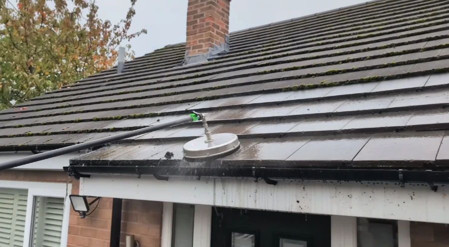 Black algae streaks and moss growth on Florida roof needing professional cleaning