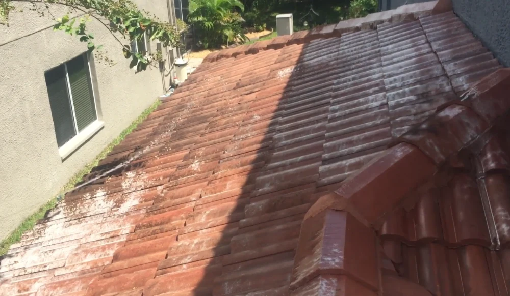 Tile roof cleaning process explained for Bradenton, FL homes