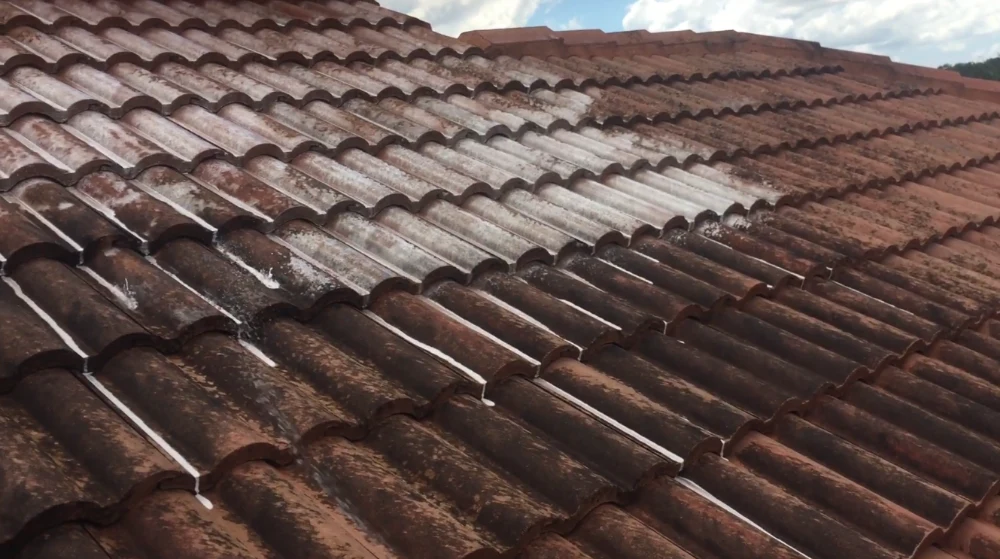 Recent tile roof cleaning results in Bradenton, FL